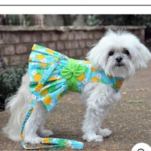 Tropical Pineapple Dog Dress - with leash.